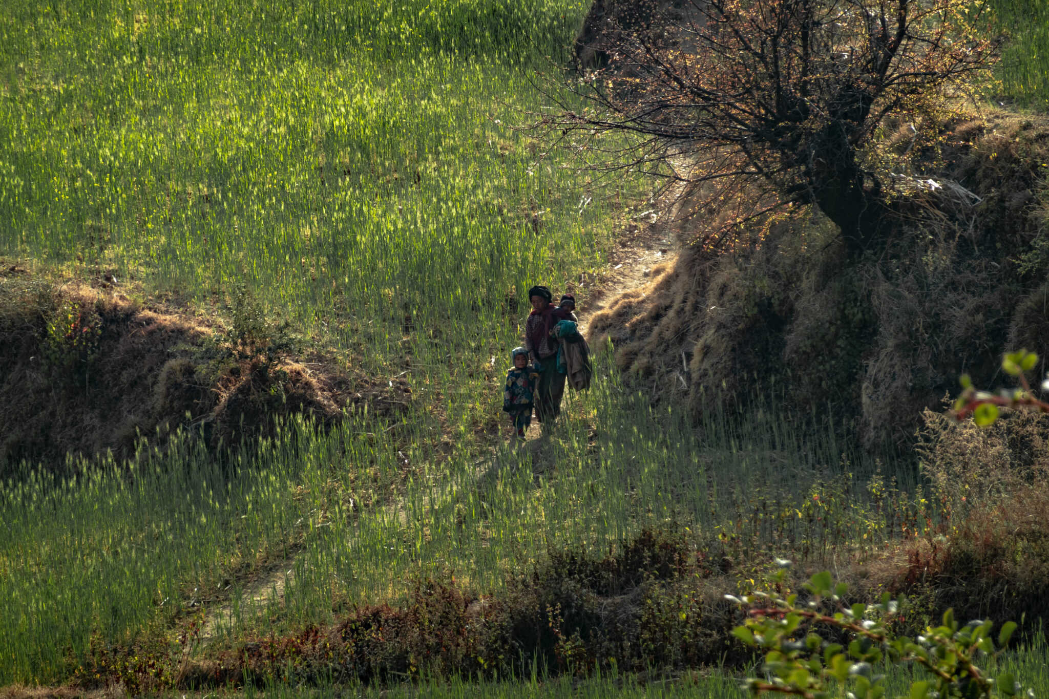 Nepal landscape travel photo